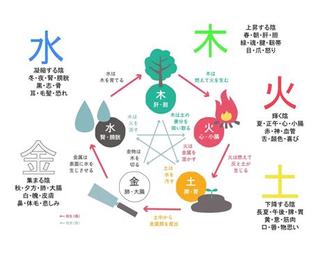 陰と陽|陰陽五行思想